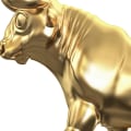What type of assets are gold and silver?