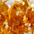 How much gold is toxic?