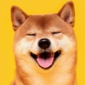 Can you buy dogecoin in a roth ira?